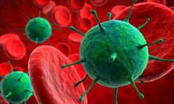 H3N2 grip virüsü Türkiye’ye geliyor