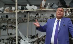 Güvercine haciz çöküşün sembolü