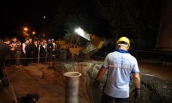 Doğayı korumak için sabaha kadar mesai yaptılar