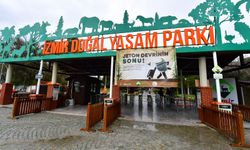 İzmir Doğal Yaşam Parkı'na siyah jaguar ve boz ayı getirildi