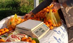 Güzelbahçe’den yerel üreticiye destek