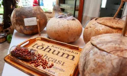 Karşıyaka'da yerel tohum bereketi