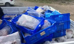 Sultangazi’de ruhsatsız iş yerinde 300 kilo et imha edildi