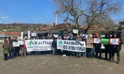 Aktivistlerden "Çevre davaları kamu davası sayılmalı" isyanı