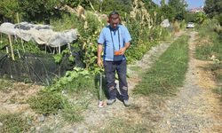 MUSKİ, Muğla’daki tüm içme suyu hatlarını tarıyor