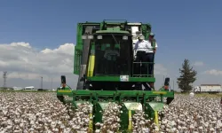 Kınık Ziraat Odası Başkanı çiftçinin son 1 yılını anlattı