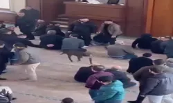Camiye giren pitbullun sahibine adli ve idari işlem yapıldı