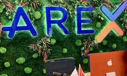 Büyük sigorta şirketine kayyum şoku!