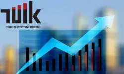 TÜİK, Kasım enflasyonunu açıkladı: Aylık %0,87