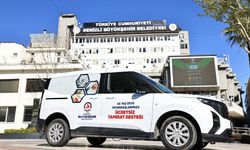 Ulu çınarların tamirat derdine son