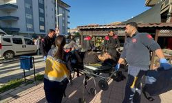 Veterineri kaçırmak istediler, vurdular