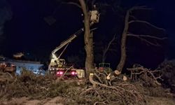 Efeler Belediyesi kuvvetli fırtına ve sağanağa karşı sahada