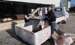 Turgutlu’nun zeytinlerinden 1500 litre bereket