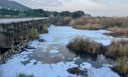 Gediz'deki kirlilik tarımı ve körfezi tehdit ediyor