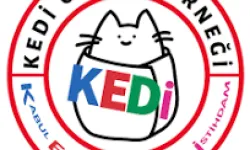 ‘Tasarruf, engelli bireylerin eğitim hakkından yapılmasın’