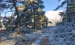 Urla’nın yüksek kesimlerine kar yağdı