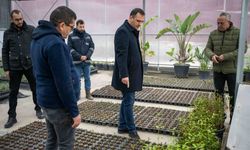 Bornova kendi yeşilini kendi üretiyor