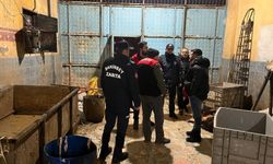 Bin 300 kilo sağlıksız sakatat ele geçirildi, iş yeri kapatıldı