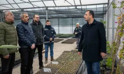 Bornova’da 75 bin fidanla hazırlık