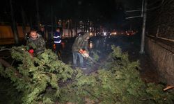 Buca Belediyesi ekiplerinin fırtına ve yağış mesaisi