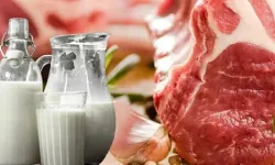 İstanbul’da ramazan öncesi et ve tereyağına fiyat sabitlemesi