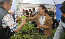 Efes Selçuk’ta verimliliğin adresi: Toprak Okulu
