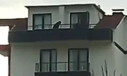 FETÖ’den aranan ihraç üsteğmen yakalandı!