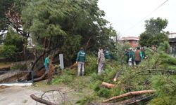 Kuşadası’nda ekiplerden kritik müdahale