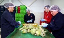 Başkan Yetişkin'le kadın emeği dünyaya açıldı