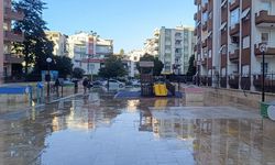 Çocuklar güvenle oynasın diye Efeler'de parklar tertemiz