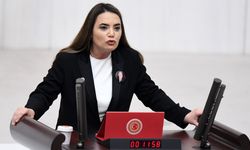 Türkeş’ten Bahçeli’ye ‘Öcalan’ tepkisi: Statüsü bellidir