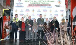 Büyükşehir’den Honazlı üreticiye 4 bin 236 zeytin fidanı