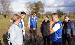 Muğla Büyükşehir'den sel sonrası üreticiye destek