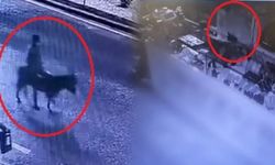 Forkliftle Soydu, Eşekle Kaçtı: Kuyumcu Hırsızı Yakalandı