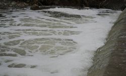 Kocaeli’de dere alarmı: Köpük ve ağır koku tedirgin ediyor