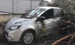 Fırtına İzmir’i vurdu: Ağaç devrildi, deniz taştı