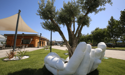 Efes Selçuk’ta mantar yetiştiriciliği