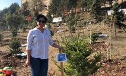 Oğlunun acısına dayanamayan anne hayatını kaybetti