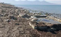 Kuşadası’nda fırtına tarihi kalıntıları ortaya çıkardı