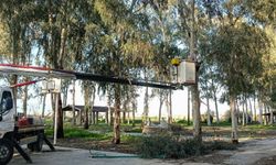 Efeler'de güvenli yeşil alan seferberliği