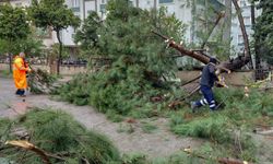 Efeler'de sağanak yağışın izleri siliniyor