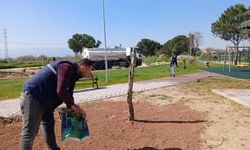 Efeler'in yeni sosyal alanı şekilleniyor