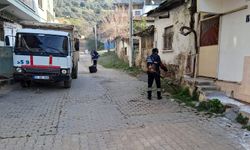 Efeler Belediyesi'nin yeşil ekipleri çalışmalarına devam ediyor