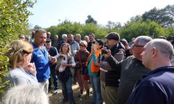 Bodrum'da ağaç budama eğitimi düzenlendi