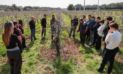 Buca’nın bağlarında geleceğin ziraat mühendisleri yetişiyor
