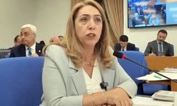 DEM Partili Aydeniz TBMM İdare Amirliği’nden istifa etti