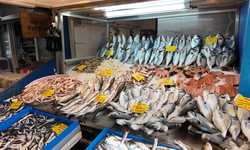 Balık Hali Esnafı Zamlardan Dertli: Satışlar Durdu