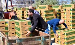 Gördes’te Üreticinin Yüzü Güldü