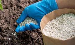 Rusya gübre ihracatını durdurdu, Türkiye önlem aldı