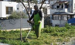 Kuşadası'nda yeşil alanlar ve sokaklar yenileniyor